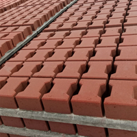 Pavers de concreto com camada superficial colorida