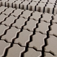 Pavers de concreto produzidos pela máquina de fabricação de tijolos ZCJK
